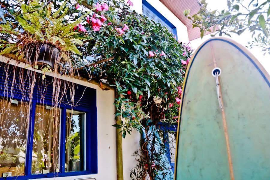 Casa Bossa Nova Guesthouse Ubatuba Eksteriør billede